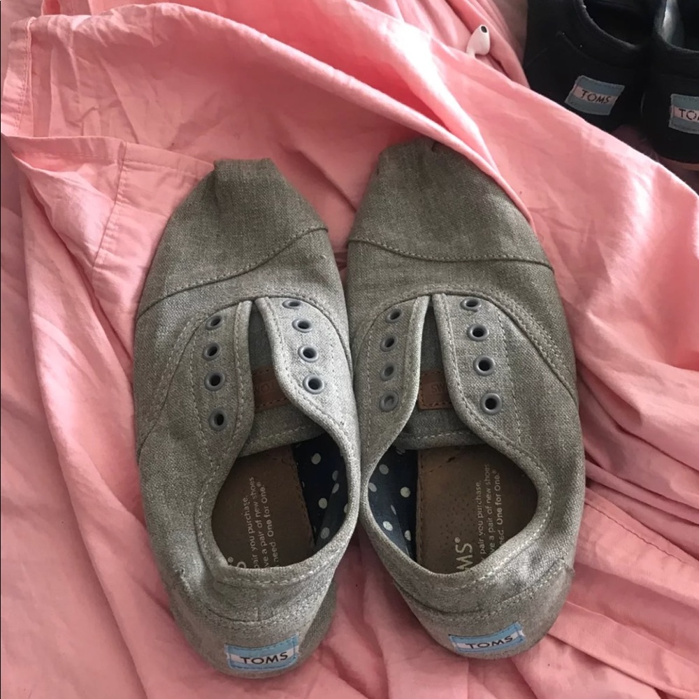 Grey Toms